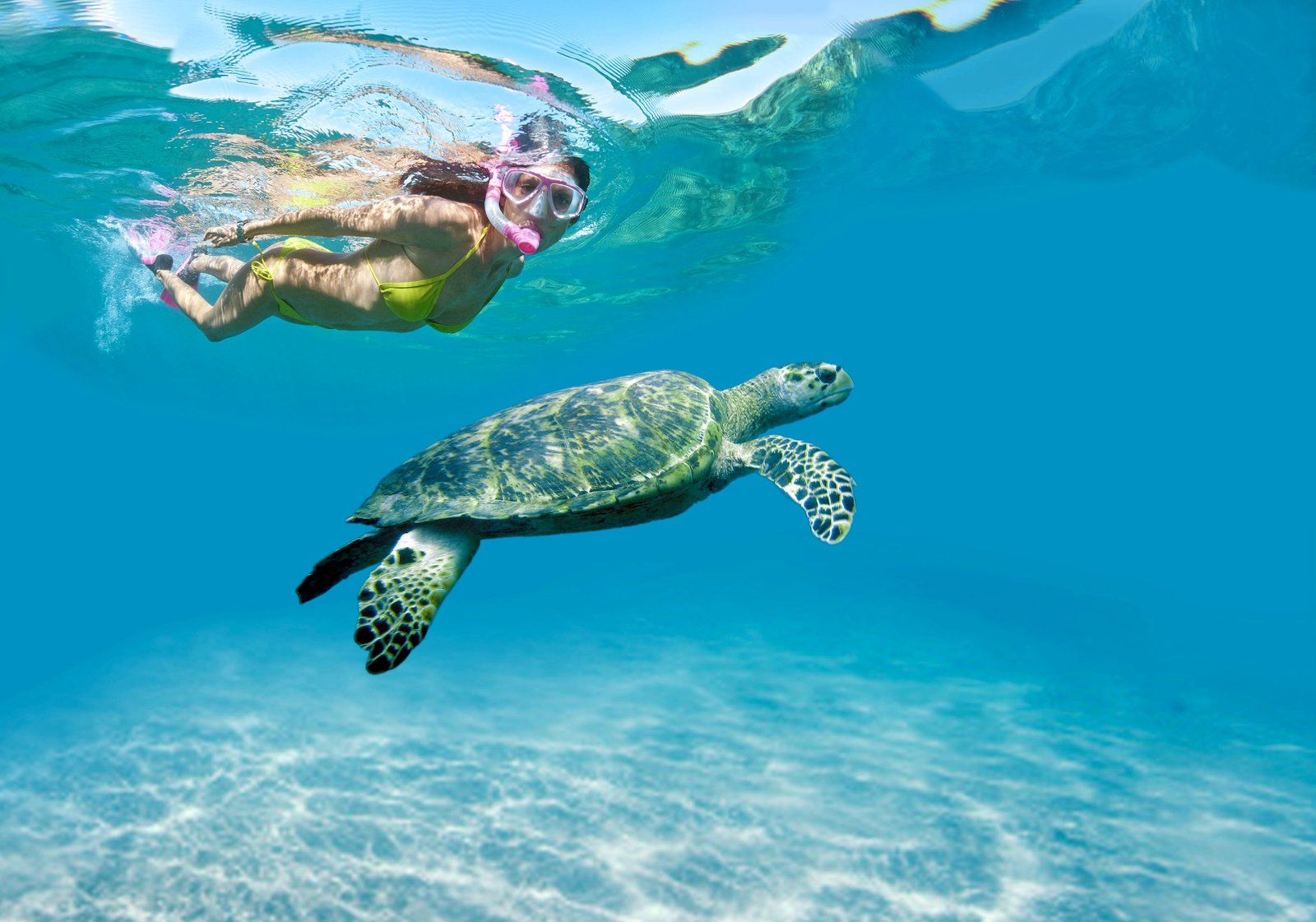Snorkeler swimming beside a sea turtle in the Caribbean reef